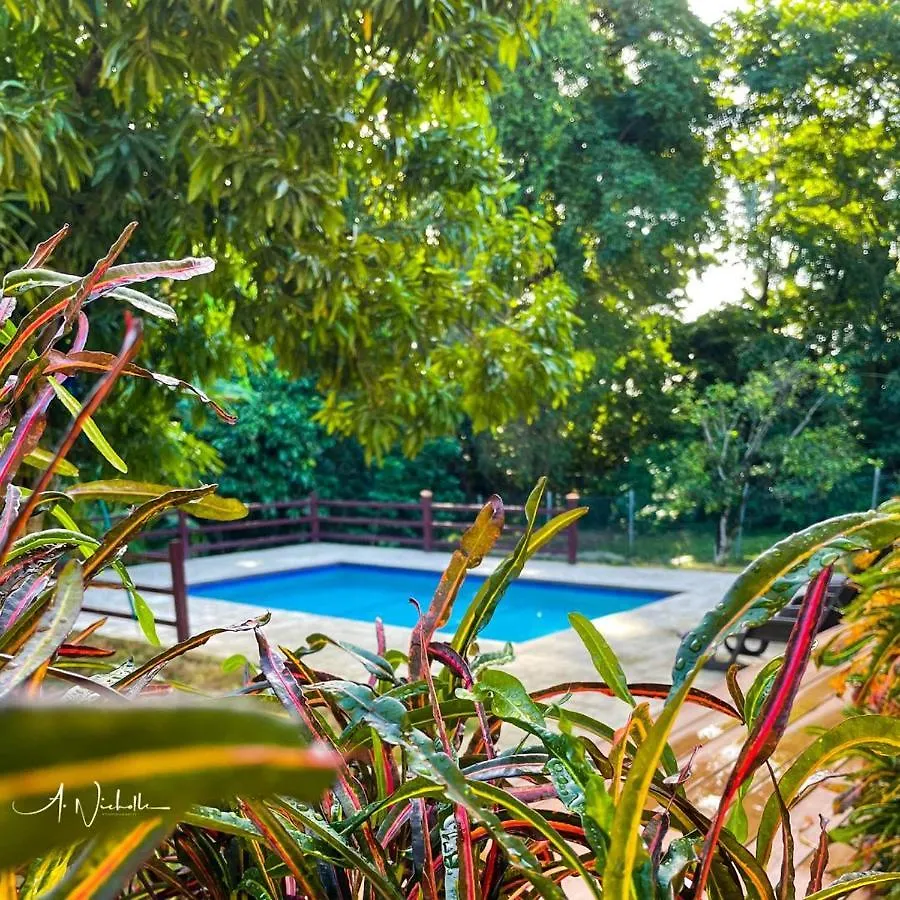 Tropical Apartments Tobago Scarborough
